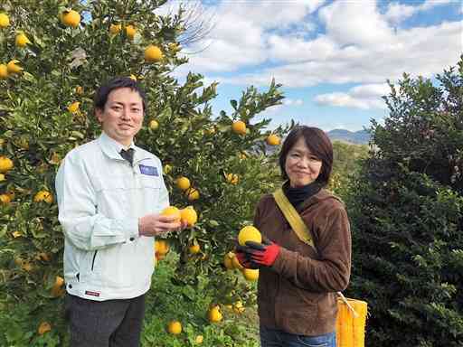 生産者グループのかんきつ畑に立つ「からたち」の大澤菜穂子さん（右）と再春館製薬所の佐藤岳さん＝水俣市