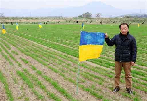 平和の祈りを込め、自作のウクライナ国旗を畑に立てた森下文夫さん＝嘉島町