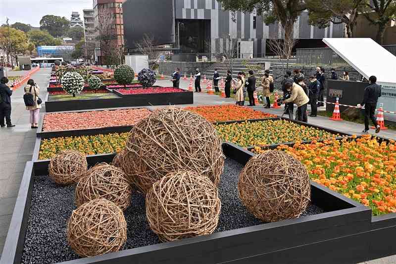 「フラワーボックス」を再現した大花壇＝１４日午前、熊本市中央区の花畑広場（後藤仁孝）