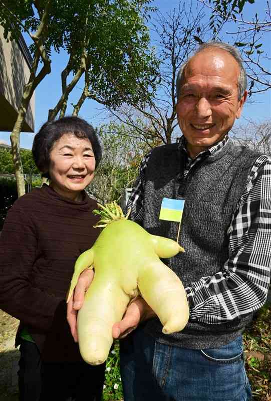 赤ちゃんのような形と大きさの大根を収穫した早崎秀夫さん（右）＝宇土市