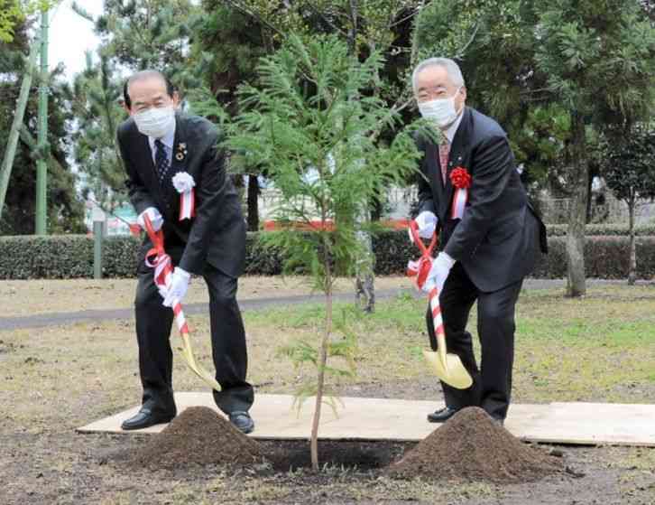 「宇宙ヤクスギ」を植樹する後藤三雄・菊陽町長（左）と荒木耕治・屋久島町長＝菊陽町