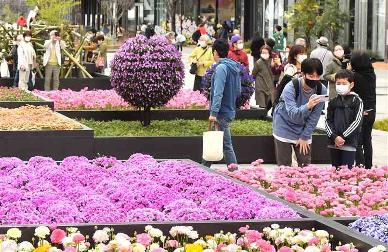 「くまもと花博」が開幕し、花畑広場に設けられた大花壇を観賞する人たち＝１９日午前、熊本市中央区（谷川剛）