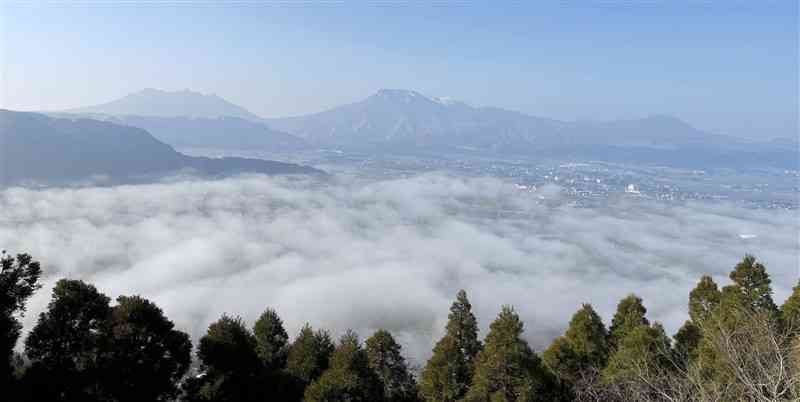 阿蘇北外輪山の内側を覆った雲海＝24日午前8時10分ごろ、阿蘇市