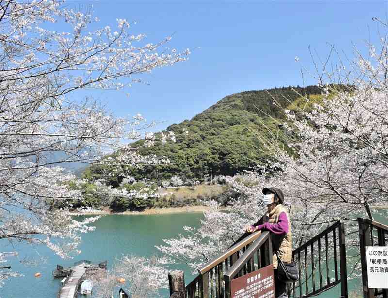 多くの人でにぎわった市房ダム周辺＝24日、水上村