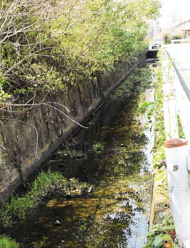 熊本市中央・西区土木センターの洗濯排水が流入していた農業用水路＝24日、熊本市西区