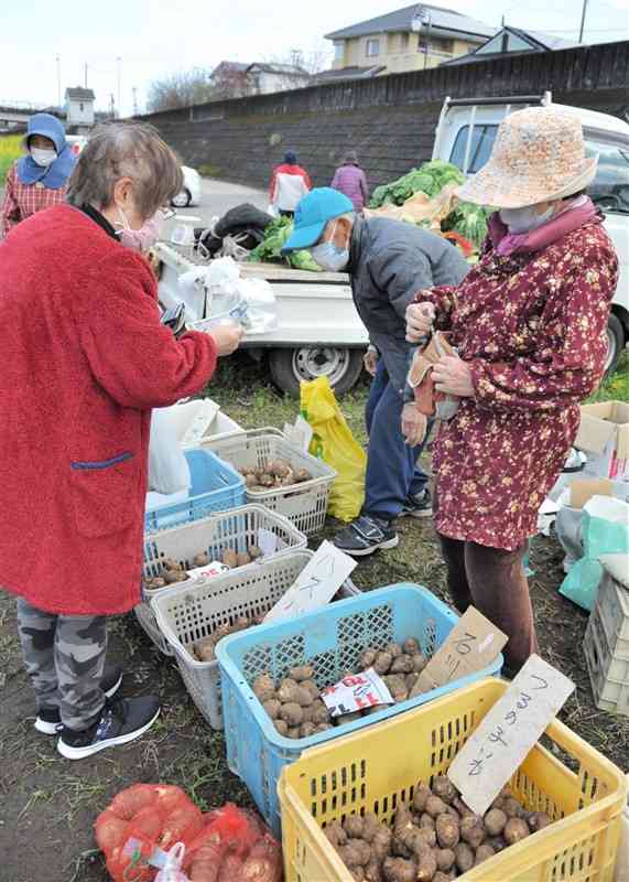 種イモを購入する来場者（左）＝御船町