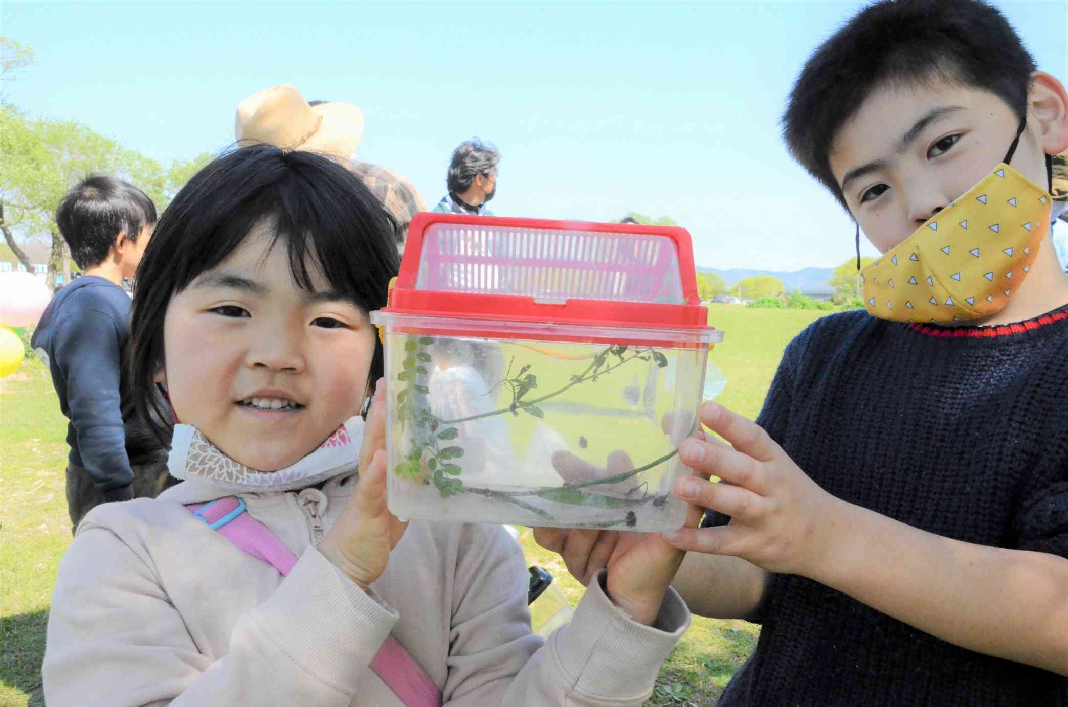 水前寺江津湖公園で捕まえたベニシジミやナナホシテントウなどを見せる子どもたち＝熊本市東区