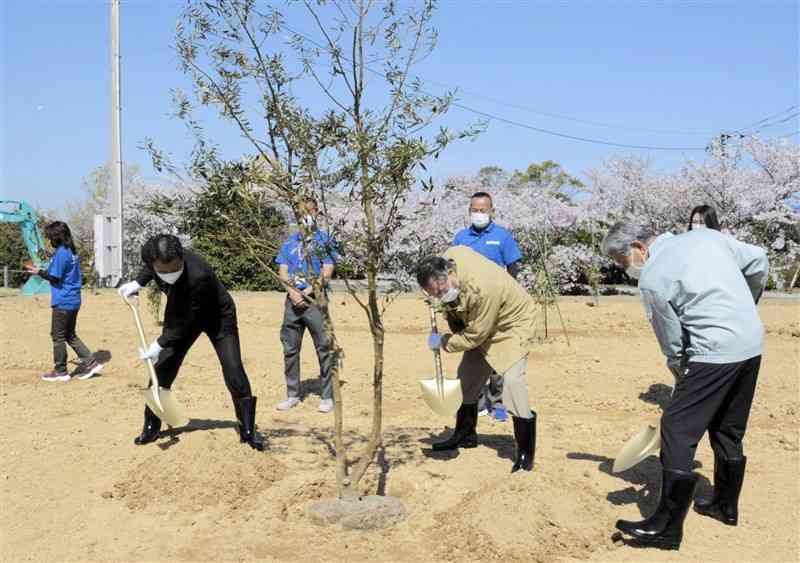 オリーブの木を植える竹﨑一成芦北町長（中央）ら＝芦北町