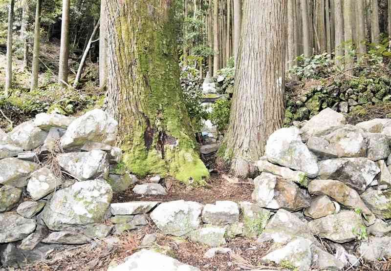 愛媛県宇和島市中心部から車で40分ほどの山中にひっそりと立つ五輪塔