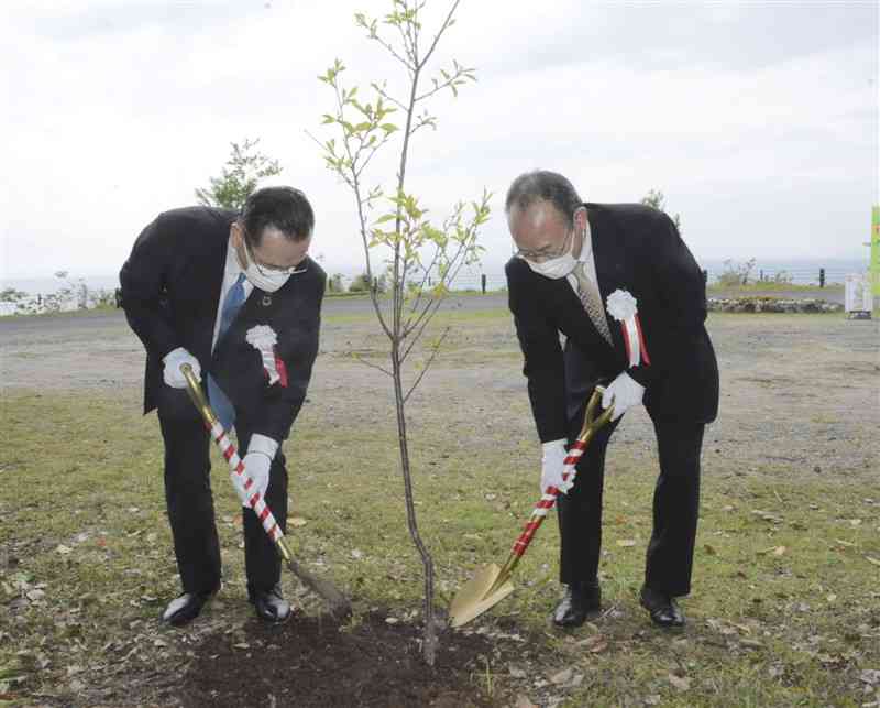 桜の苗木を植樹する伊藤園南九州地区営業部の天本博文部長（右）と髙岡利治水俣市長＝同市