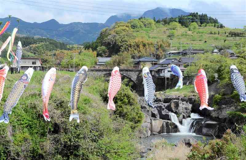 迫間川の滝近くに飾り付けられたこいのぼり＝菊池市