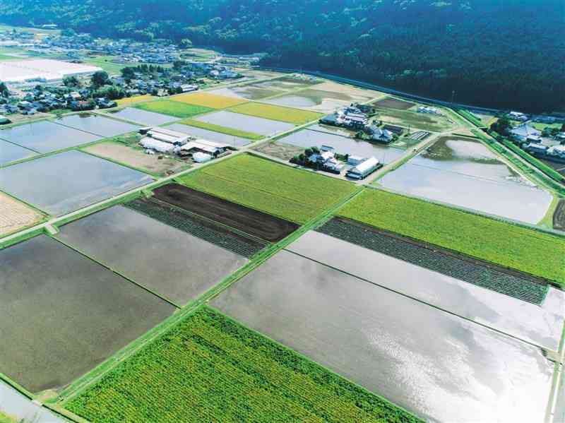 地下水涵養のために水を張った転作田＝大津町（白川中流域土地改良区協議会提供）