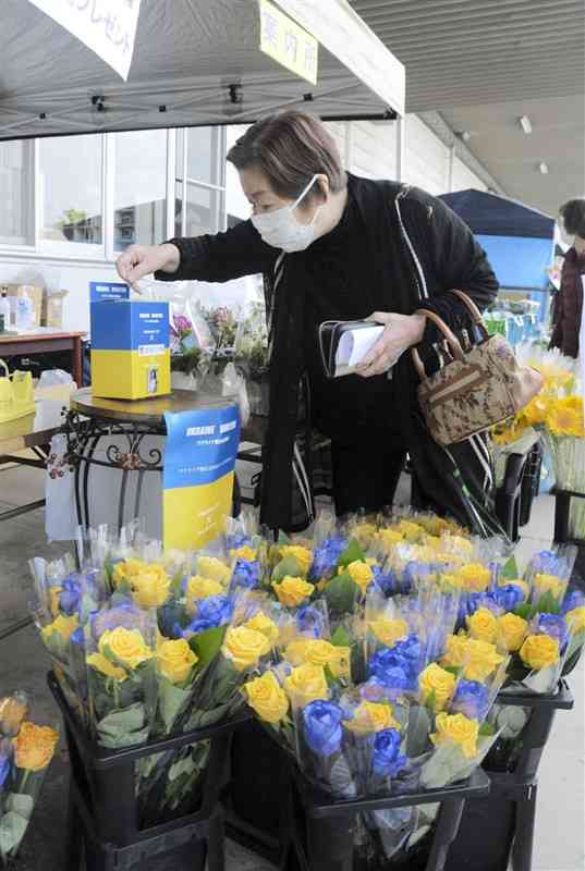 ウクライナの国旗をイメージした青と黄色のバラを購入する来場者＝熊本市南区