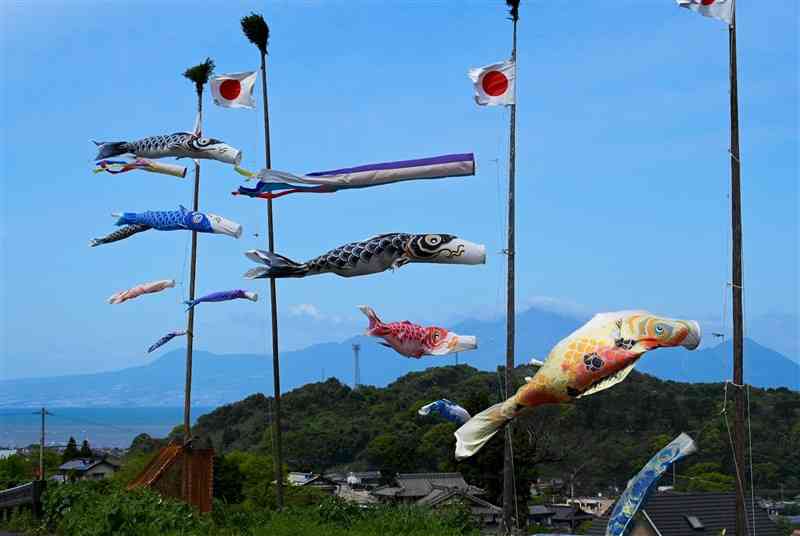 有明海と雲仙・普賢岳をバックに泳ぐこいのぼり＝宇土市