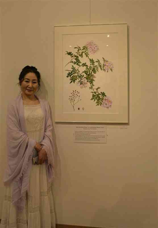人吉に自生するツクシイバラを描いた植物画家の道惠さん＝人吉市
