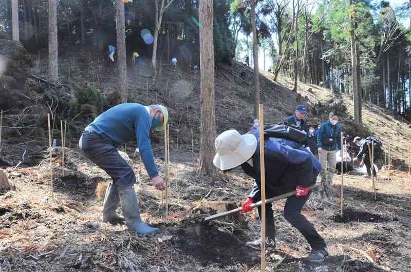 「阿蘇大観の森」で、水源涵養のため広葉樹を植える肥後銀行の行員ら＝9日、阿蘇市