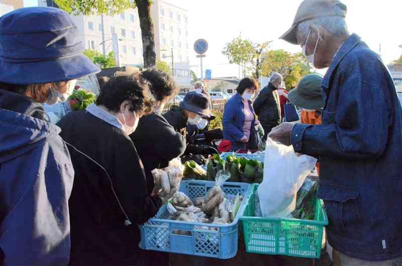 天草市南新町で毎週日曜に開かれる「しろう天草観光朝市」。早朝から元気な売り買いの言葉でにぎわう＝天草市