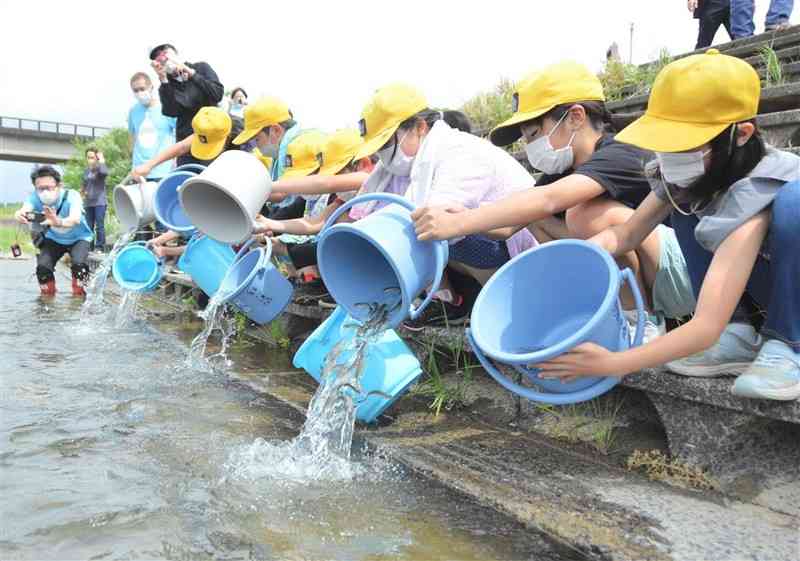 バケツに入った稚アユを緑川に放流する甲佐小の児童＝甲佐町