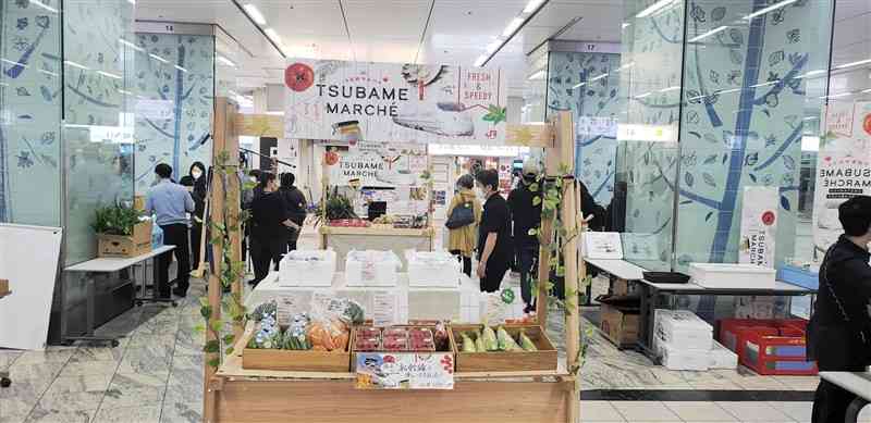 博多駅構内で開かれたつばめマルシェ。天草産の新鮮な海産物が並んだ＝JR九州提供