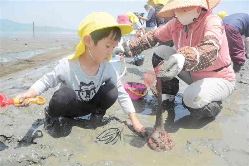 泥だらけになって潮干狩りを楽しむ保育園児ら＝八代市