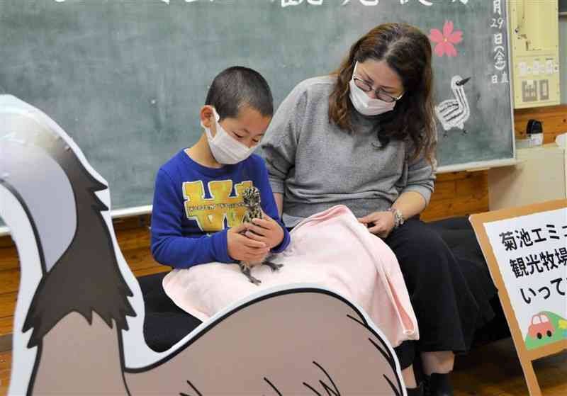 エミューの赤ちゃんと触れ合う親子＝菊池市