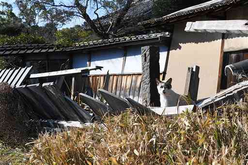 熊本地震で立ち入り禁止となった旧細川刑部邸。野良猫が日なたぼっこに来ていた＝熊本市中央区（2017年1月撮影、大倉尚隆）