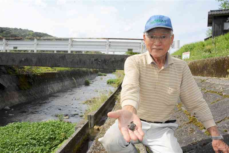 芦北町大川内で20年以上、ほたる保護監視員を続ける吉川慶弓さん＝同町