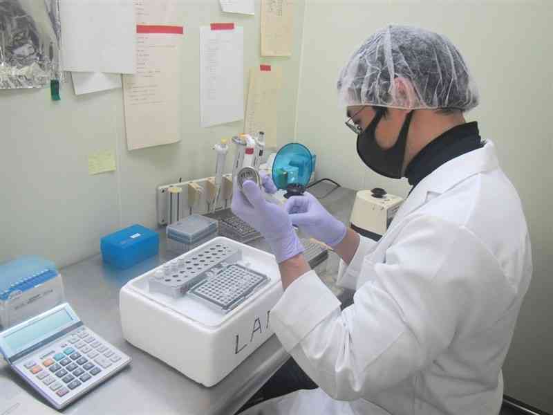 分析のため、試薬を使ってアサリのDNAを増幅させる県水産研究センターの職員（同センター提供）