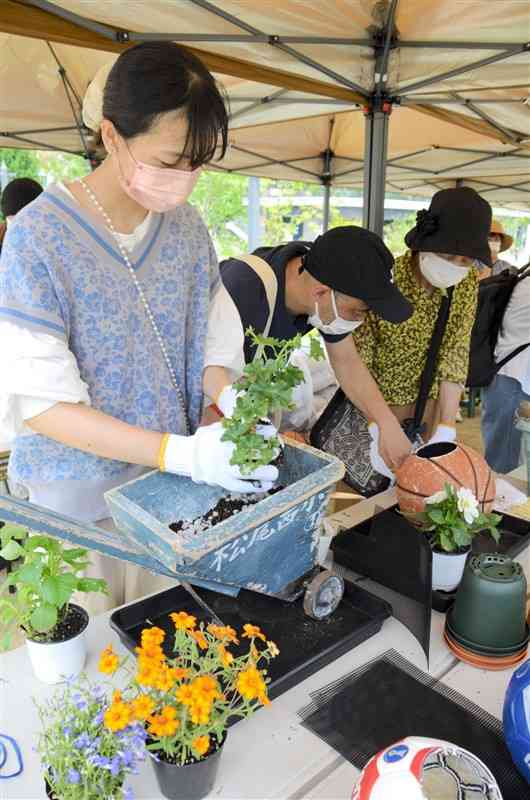 「松尾西小」と書かれたライン引きやバスケットボールに花の苗を植える参加者たち＝熊本市中央区