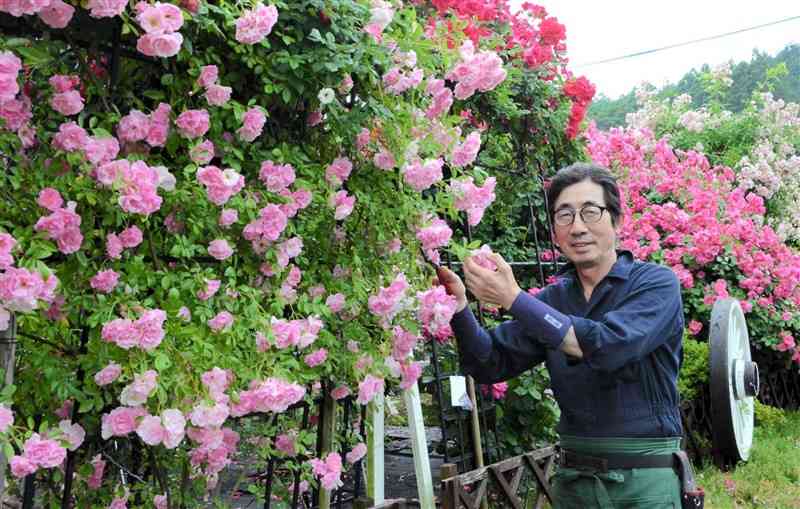 バラの手入れが日課という松岡昌明さん＝菊池市