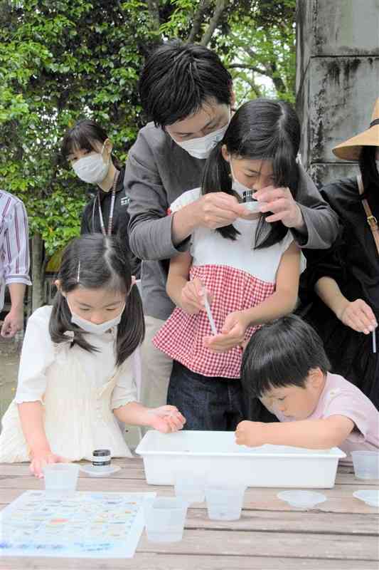 ルーペを使って小川にすむ小さな生き物を観察する子どもら＝熊本市東区