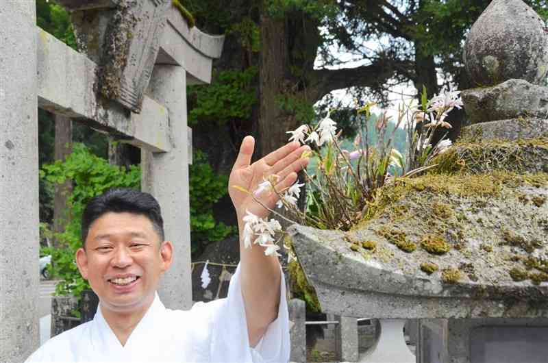 小国両神社の灯籠に着生しているセッコクの花と、宮司の髙野維敦さん＝小国町
