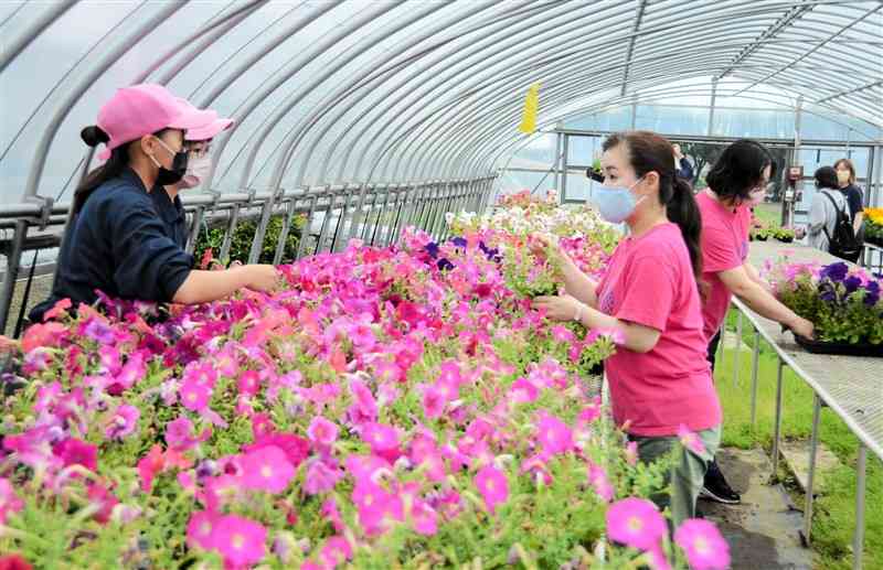 菊池農高であった花の苗の無料配布＝菊池市