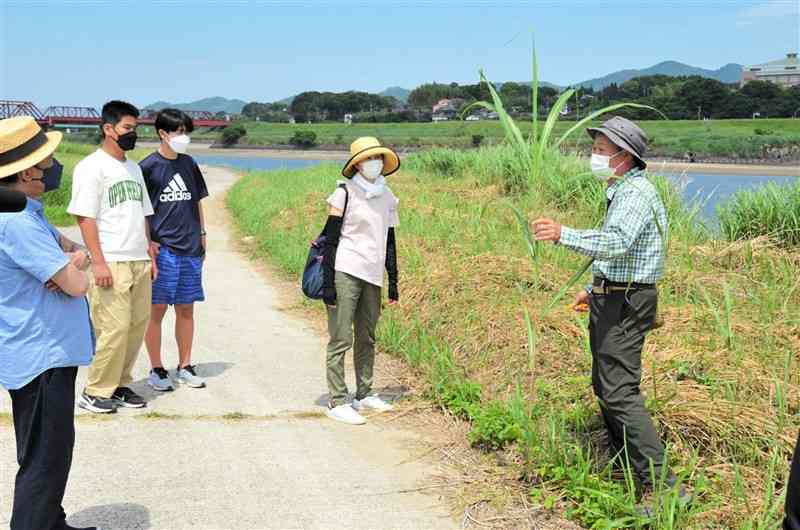 菊池川おおかわの会が開いた植物観察会で河川敷を巡る参加者ら＝玉名市