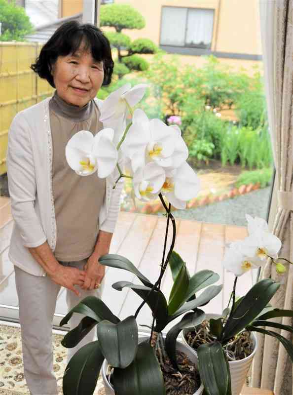 3年連続してコチョウランを咲かせた上西園壽子さん＝益城町