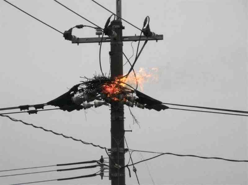 女性が撮影した、電柱の上で燃えるカササギの巣＝4月14日、山鹿市鹿本町（本人提供）