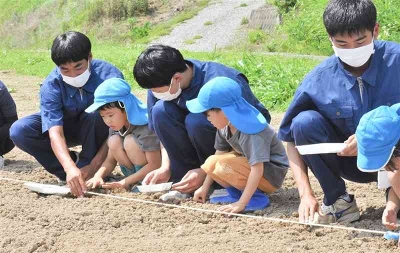 高校生にアドバイスをもらいながら種をまく園児＝あさぎり町