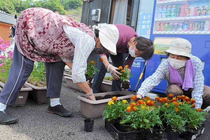 球磨村地域支え合いセンターが開く交流会で花を植え替える仮設団地の入居者ら＝5月、球磨村