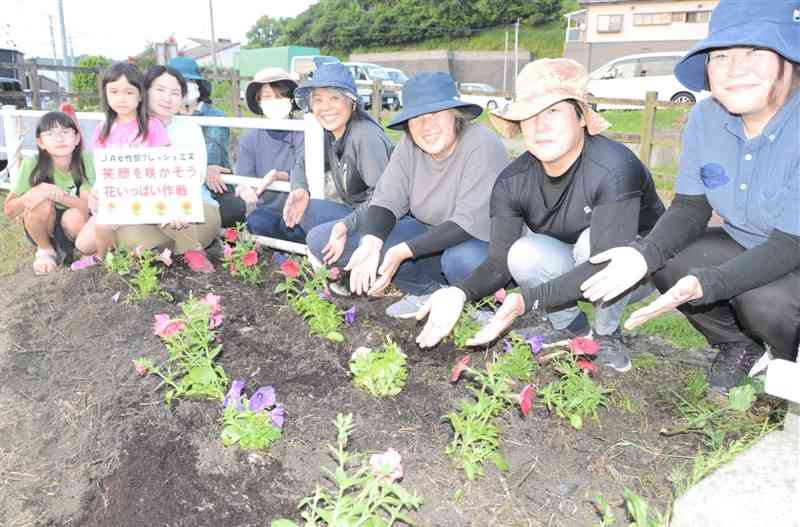 「花いっぱい作戦」でペチュニアを植えたJAあまくさ女性部員ら＝上天草市