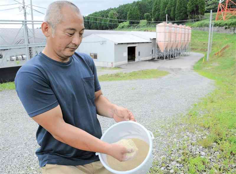 豚に与える配合飼料を手にする養豚農家の男性。飼料は奥のタンクに保管している＝菊池市