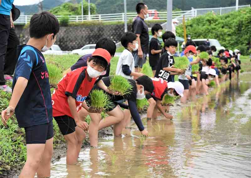 田植えで交流した三岳小と山鹿小の5年生＝山鹿市