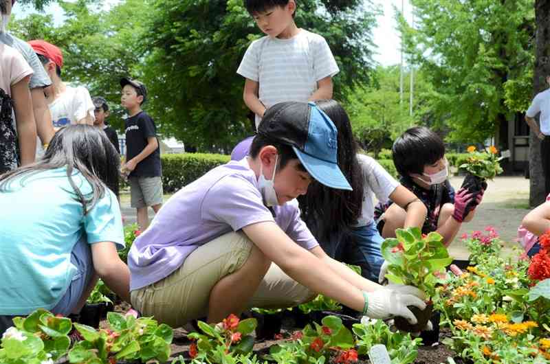 花壇に花を植える武蔵小の児童ら＝熊本市北区