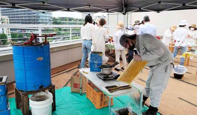 ビルの屋上でハチミツを収穫する熊本ハニープロジェクトのメンバーら＝熊本市中央区（同プロジェクト提供）