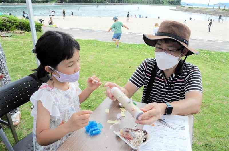 「あまくさ海の日フェスタ」で貝殻などを使ったアート制作を楽しむ来場者＝天草市