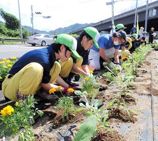 道の駅たのうらの花壇に、自分たちで育てた花の苗を植える芦北支援学校高等部佐敷分教室の生徒たち＝芦北町