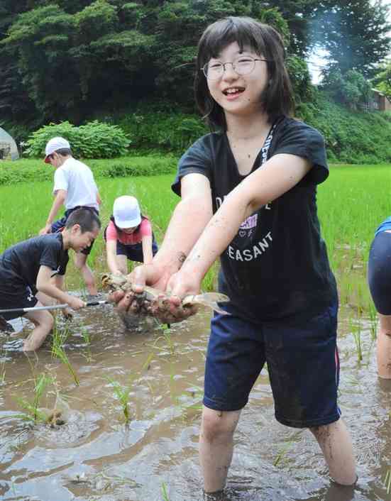 泥だらけになりながらコイを捕まえ、笑顔を見せる産山学園の5年生＝産山村