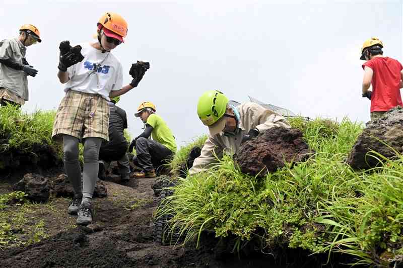 周辺の岩や石を使った「近自然工法」で登山道を修復する参加者＝阿蘇市