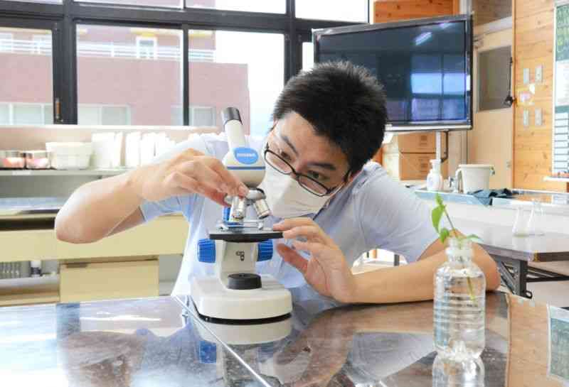 子どもたちの下校後、授業の準備で顕微鏡をのぞく福本祥大教諭＝6月23日、熊本市中央区