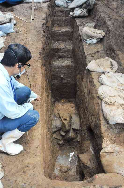 土塁の下部から出土した石積み。深迫門の場所や周辺構造を特定する手掛かりとして期待される＝17日、菊池市