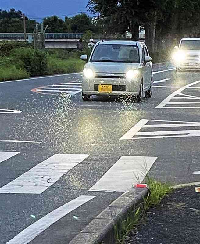 下江津湖近くで女子高校生が撮影した写真。車のライトに蚊柱が白く浮かび上がっている＝7月8日午後7時半ごろ、熊本市東区（車のナンバープレートを加工しています）